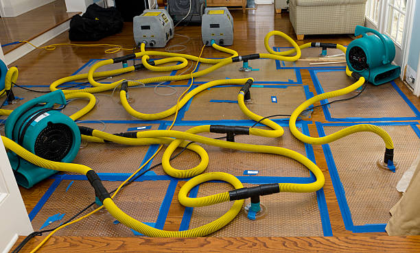 Professional Crawl Space Water Removal technician working in Franklin, NH
